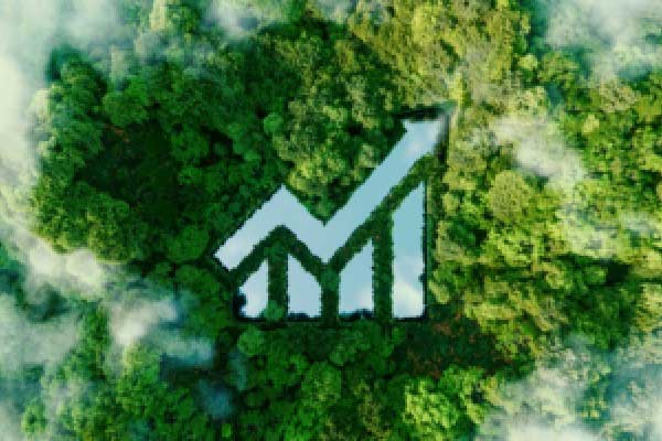 法国巴黎银行资产管理公司预测 日元可能因利率和避险押注上涨15%